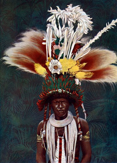 A Roro Chief Dressed for a Ceremonial Dance, Papua New Guinea by Charles Gabriel Seligman