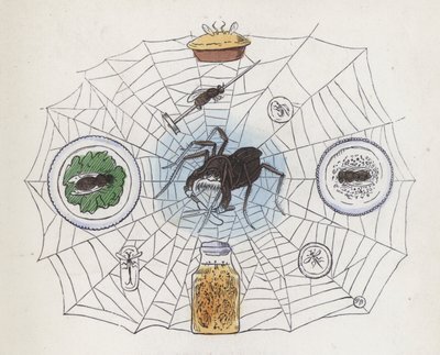 Spider in its web surrounded by food by Charles Henry (after) Bennett