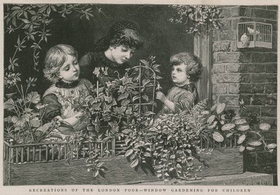 Recreations of the London poor: Window gardening for children by Charles J. Staniland