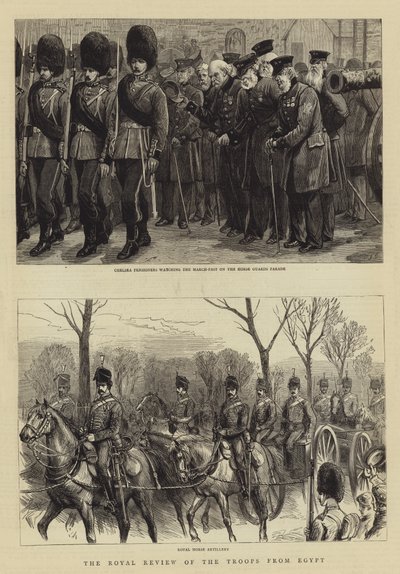 The Royal Review of the Troops from Egypt by Charles J. Staniland