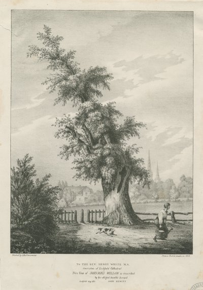 Lichfield - 