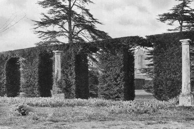 A Stately Arched Hedge by Charles Latham