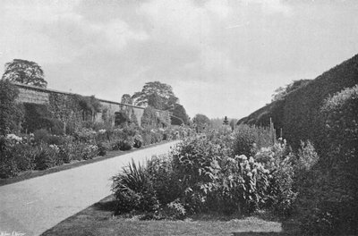 Herbaceous Borders by Charles Latham