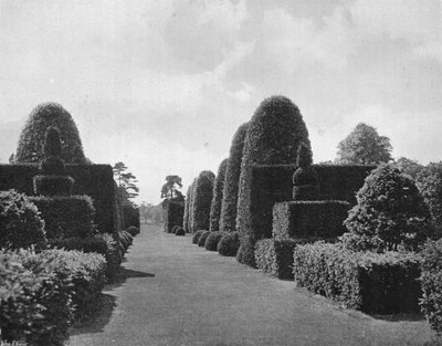 Ilex and Yew by Charles Latham