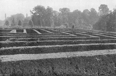 Part of Maze (Nearly One-Half) by Charles Latham
