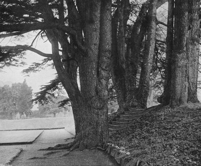The Garden Steps by Charles Latham
