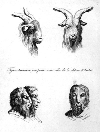 Similarities between the head of a Goat and a Man, from 