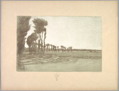 Suite of Landscapes: Landscape, Plate 5, Remarque, Three Stalks of Wheat by Charles Marie Dulac