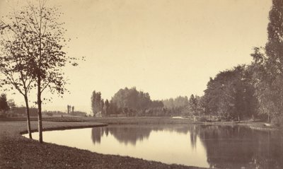 Bois de Boulogne, 1858 by Charles Marville