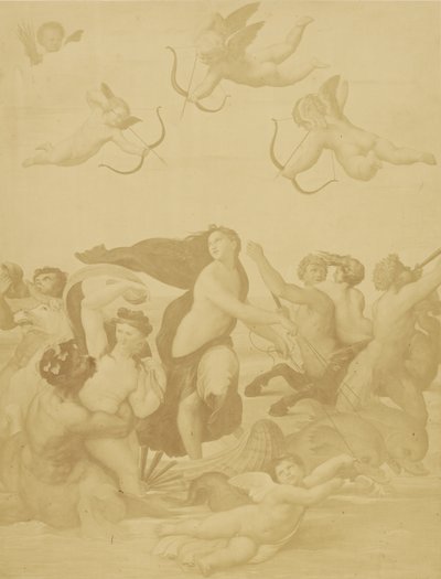Galatea (Reproduction) by Charles Marville