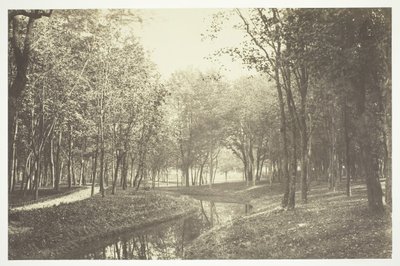 Untitled [Trees near water in the Bois de Boulogne, a park in Paris] by Charles Marville