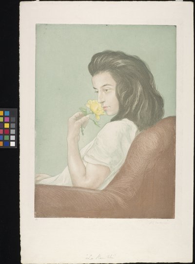 The Tea Rose by Charles Maurin