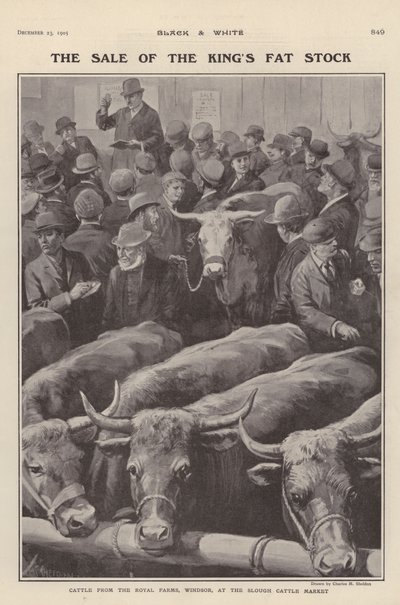 Cattle from the royal farms at Windsor on sale at Slough cattle market, Berkshire by Charles Mills (after) Sheldon