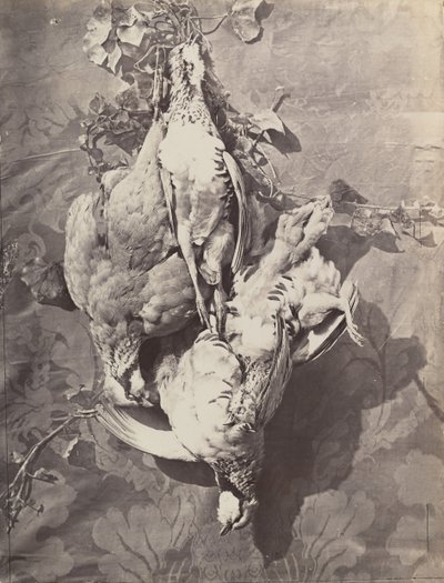 Still Life with Game Birds by Charles Nègre