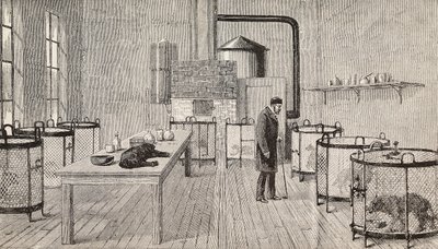 Dogs in cages inside laboratory of Louis Pasteur, Paris, France, engraving from L