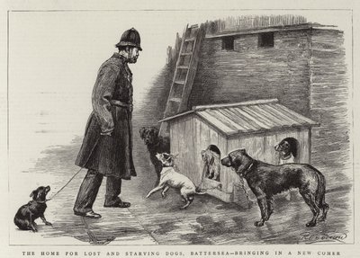 The Home for Lost and Starving Dogs, Battersea, bringing in a New Comer by Charles Paul Renouard