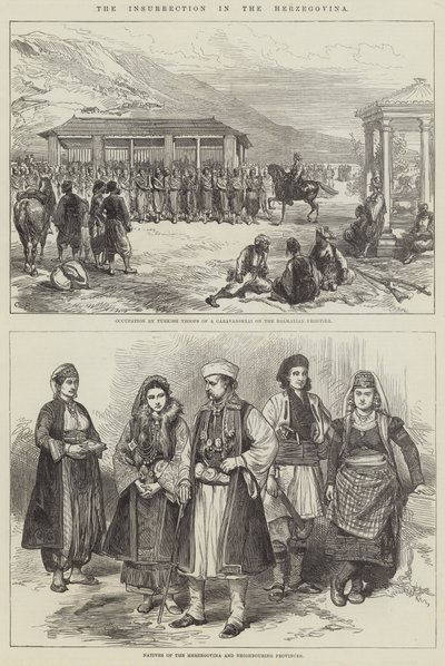 The Insurrection in the Herzegovina by Sir John Charles Robinson