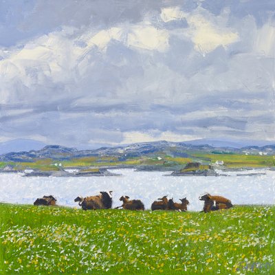 Dozing Sheep, Iona, 2015 by Charles Simpson