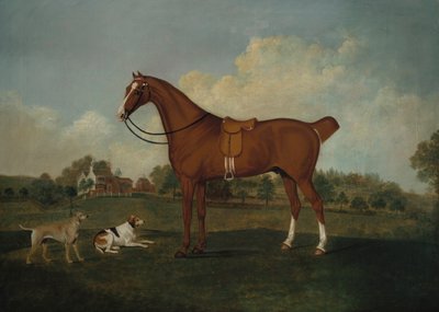 A bay hunter with two hounds in a landscape, with a mansion beyond, 1779 by Charles Towne