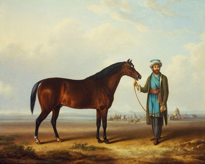An Arab stallion held by a groom with an encampment beyond by Charles Towne