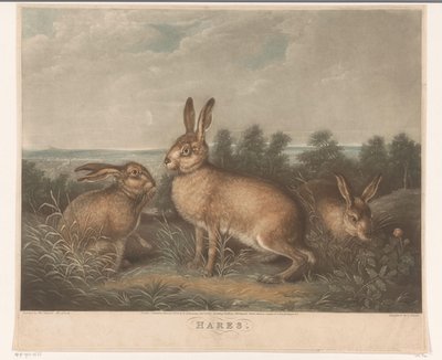 Three Hares by Charles Turner