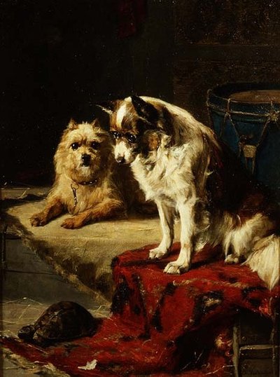 Dogs and a Tortoise by Charles van den Eycken