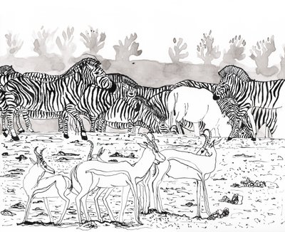 Safari 3, 2018 by Charlotte Orr