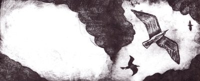 The Seagull