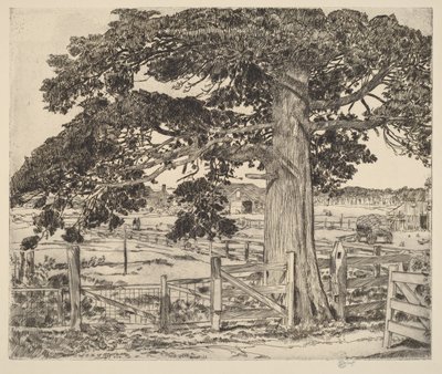 The Big Cedar by Childe Hassam