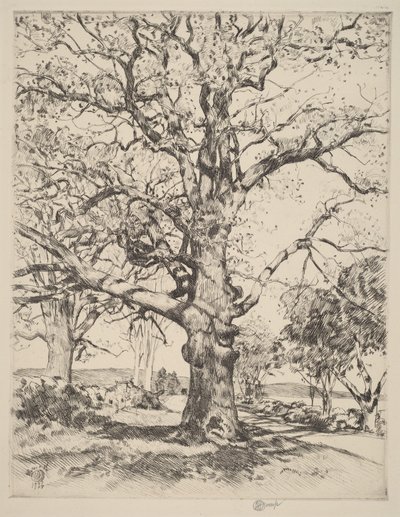 Wayside Inn—Oaks in Spring by Childe Hassam