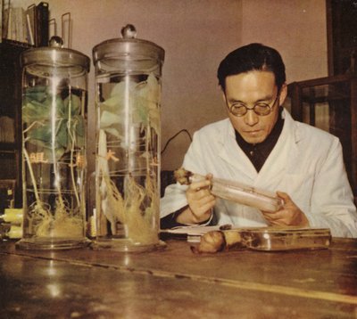 Chinese Agricultural Chemist from the Changchun Research Institute, 1950s by Chinese Photographer