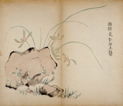 Ten Bamboo Studio Prints by Chinese School