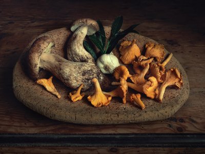 Rustic Mushroom Harvest by Christian MARCEL
