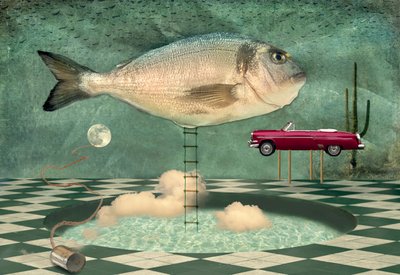 Surreal Fish Dreamscape by Christian MARCEL