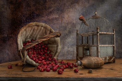 Vintage Birdcage and Cherries by Christian MARCEL
