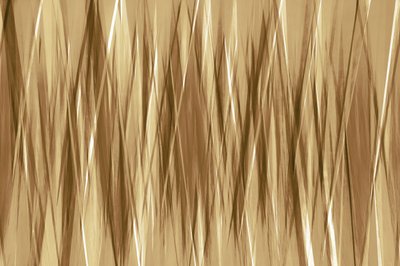 Dynamic Golden Streaks by Christina Sillen