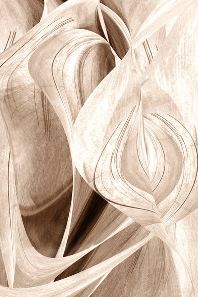 Elegant Flowing Curves by Christina Sillen