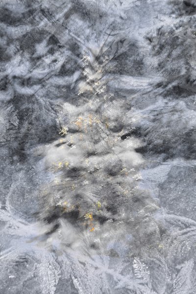 Intricate Frost Patterns by Christina Sillen