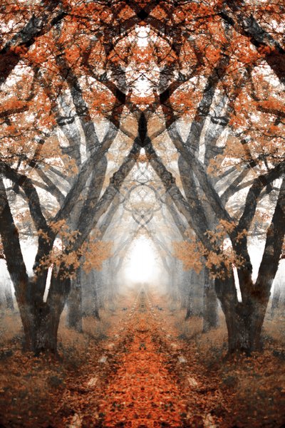 Misty Autumn Path by Christina Sillen