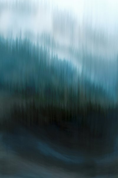 Misty Blue Forest by Christina Sillen