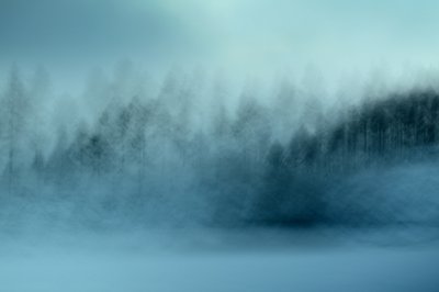 Misty Blue Forest by Christina Sillen