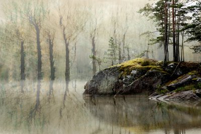 Misty Forest Lake by Christina Sillen