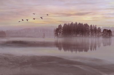 Misty Lake Bird Flight by Christina Sillen