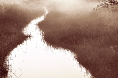 Misty River Path by Christina Sillen