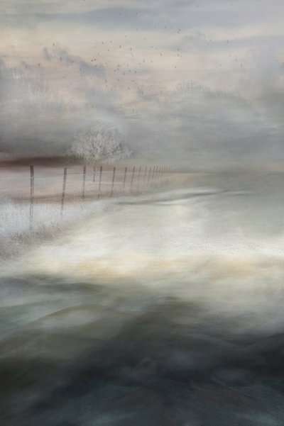 Misty Winter Landscape by Christina Sillen