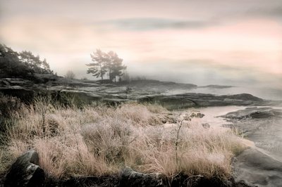 Misty Winter Shore by Christina Sillen