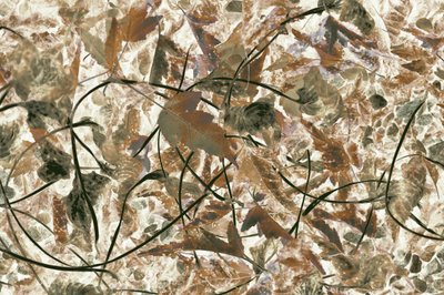 Muted Forest Foliage by Christina Sillen