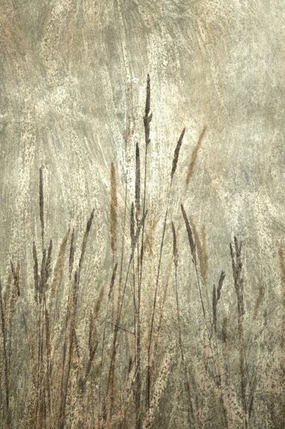 Rustic Tall Grasses by Christina Sillen