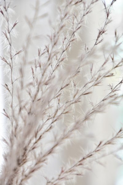 Soft Botanical Serenity by Christina Sillen