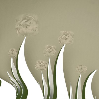 Subtle Cream Blooms by Christina Sillen